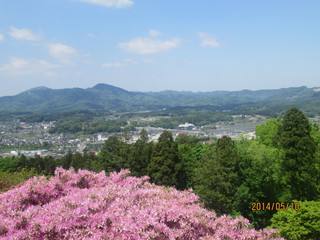 IMG_1043.JPG